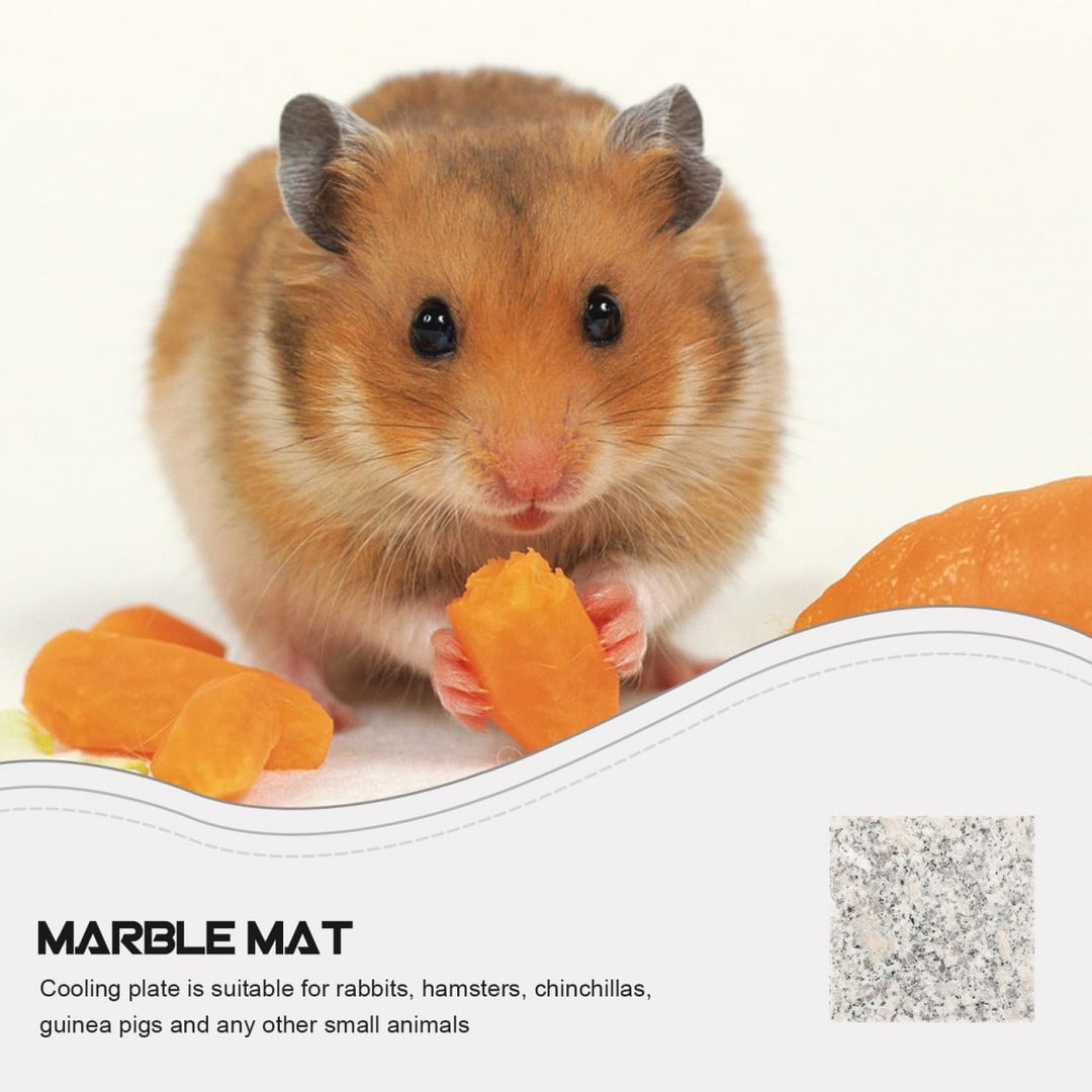YARNOW Haustier Kühlmatte Aus Marmor 3.5 Zoll Für Hamster Kaninchen Und Kleine Tiere Sommer Kühlung