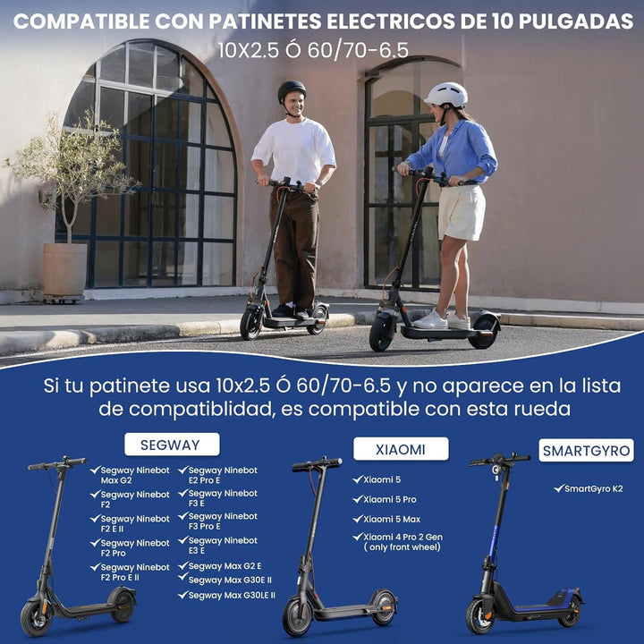 ANSENI Vollreifen 10X2,5 Ersatzreifen für Segway Ninebot G30 Max,G30/ G30E/G30LP,60/70-6.5 Solide Re