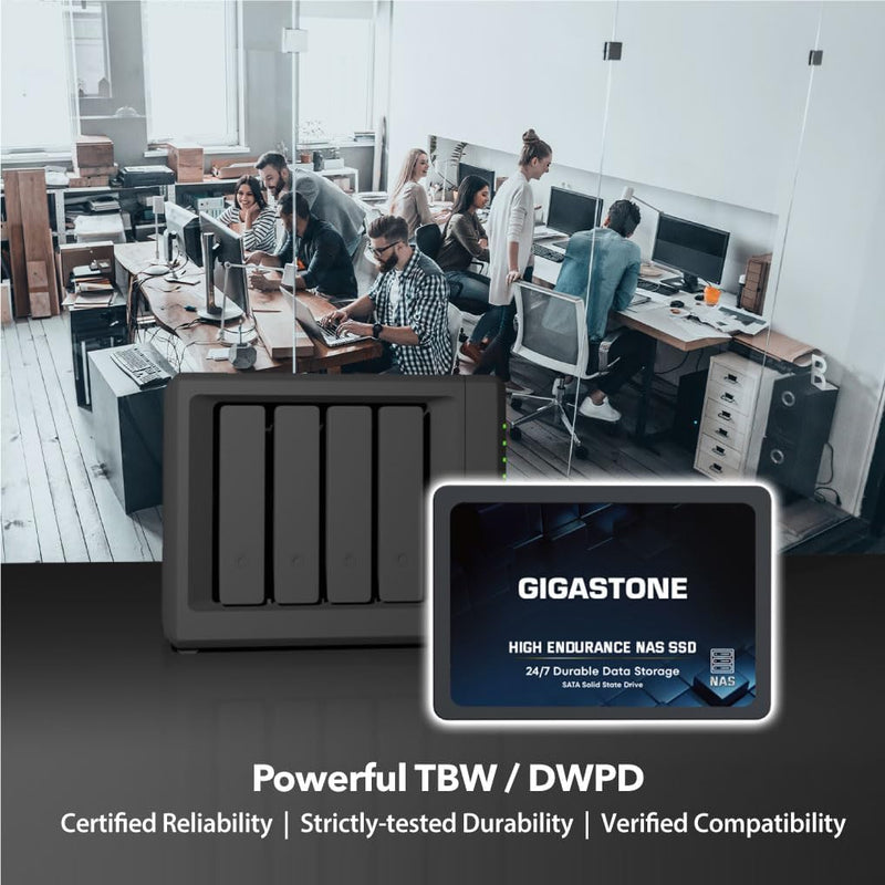 Gigastone NAS SSD 1TB Enterprise SSD Festplatte TLC Hohe Dauerhaltbarkeit Server SSD für 24/7 Dauerb