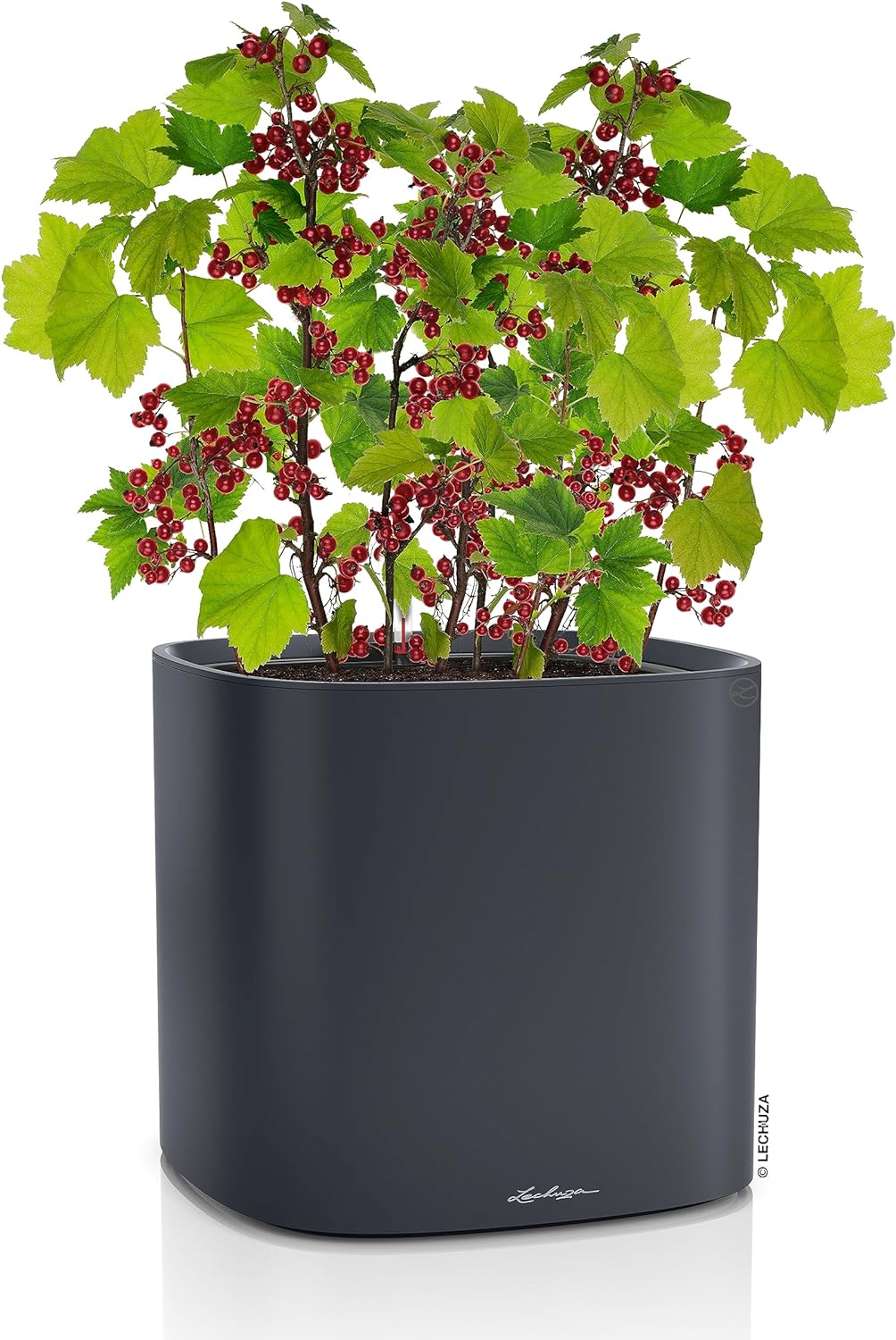 LECHUZA PILA Color Planter schiefergrau 15906 35x35x33 cm Schiefergrau, 35x35x33 cm Schiefergrau