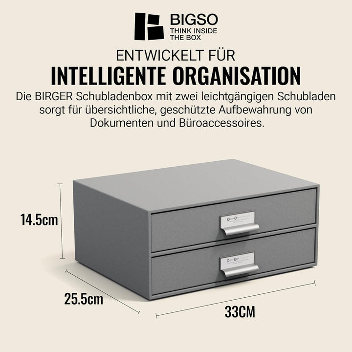 BIGSO BIRGER Schubladenbox – Aufbewahrungsbox mit 2 Schubladen – Schreibtisch Ablage für Dokumente &