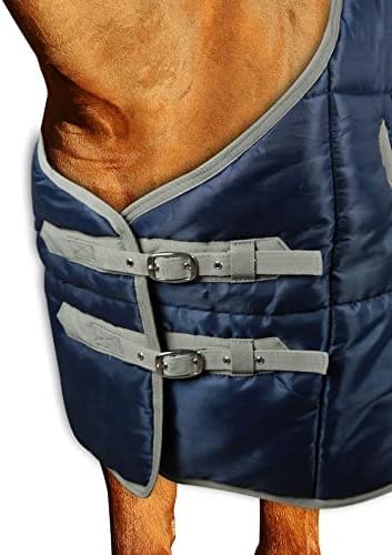 Horses, Winter Boxdecke Warm Walk für Pferd 450 gr, Gepolstert, Weich, Bequem, Ideal für Box, Widers