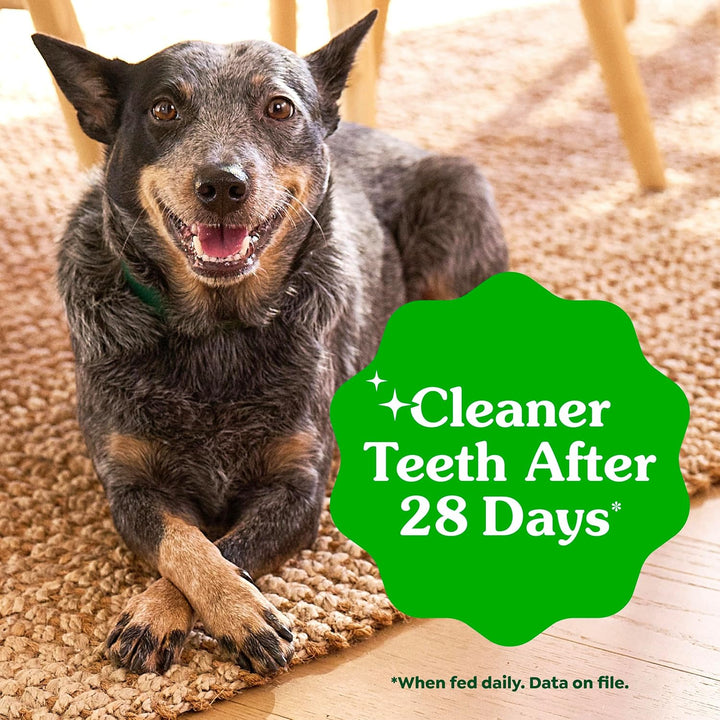 Greenies Original Dental Hund behandelt, 17 Stück, 17 Stück