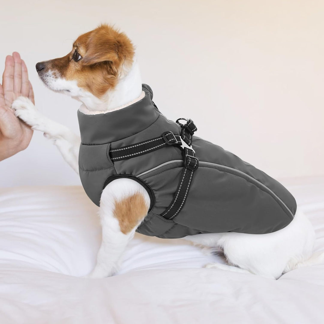 Hundemantel Hundejacke Warm Wintermantel mit Reissverschluss Winddichte &amp; Winddichte mit Reflektorst