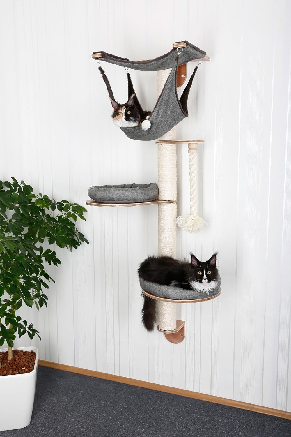 Kerbl Pet Wandkratzbaum Dolomit 2.0 Tofana | Grau, 160 cm hoch, Wandkratzbaum aus Holz und Sisal, mi
