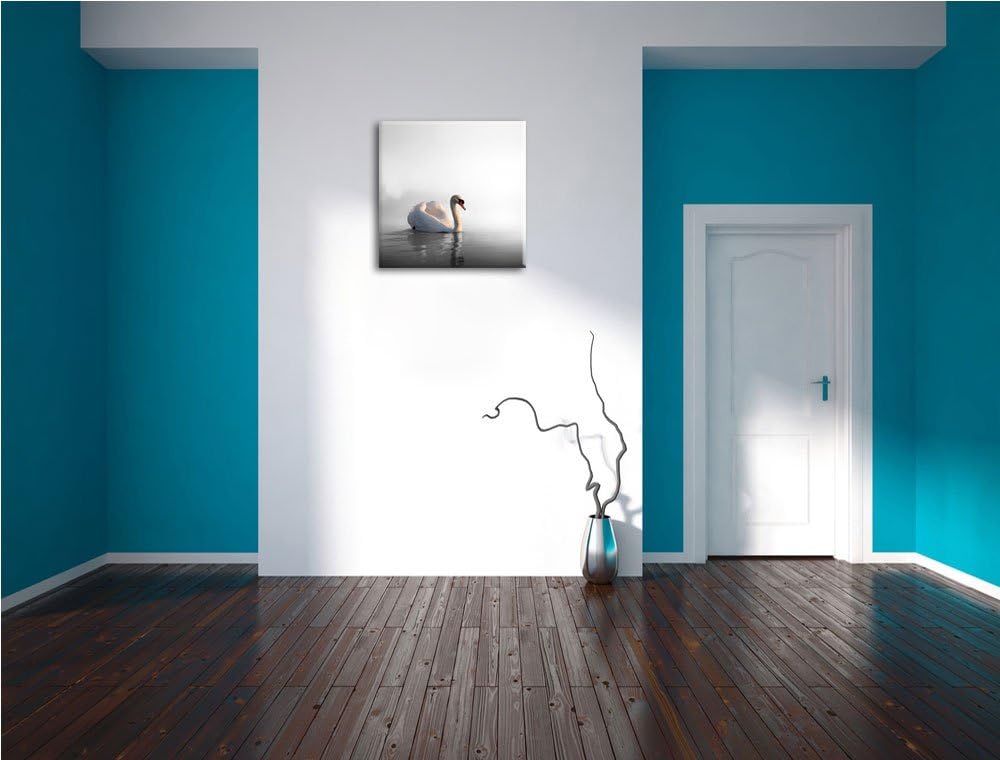 Pixxprint einsamer Schwan auf See als Leinwandbild/Grösse: 70x70 cm/Wandbild/Kunstdruck/fertig bespa