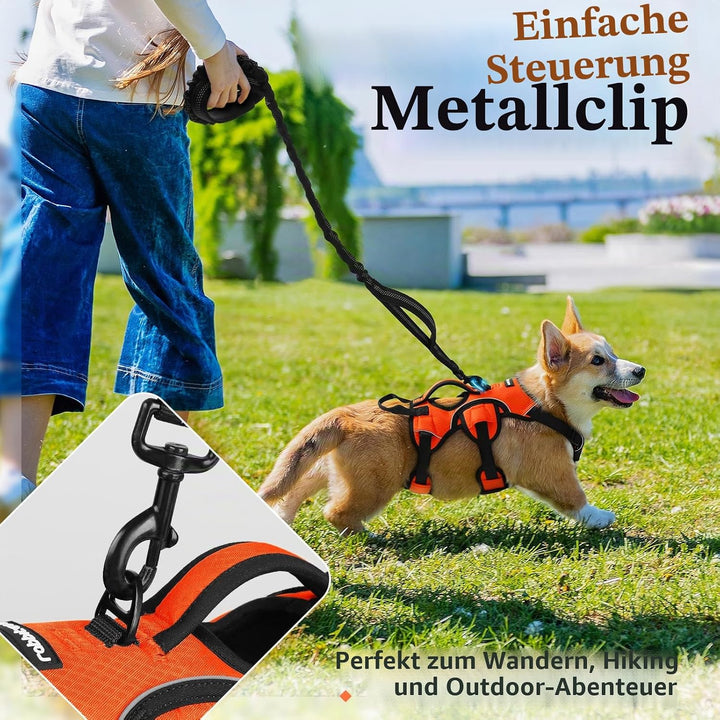 rabbitgoo Ausbruchsichere Hundegeschirr Kleine Hunde mit Griff, Anti Zug Sicherheitsgeschirr Hund At