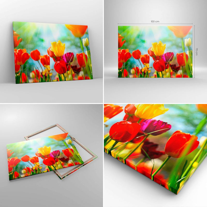 Bilder auf Leinwand 100x70cm Leinwandbild Tulpe Blume Plantage Wiese Gross Wanddeko Bild Schlafzimme