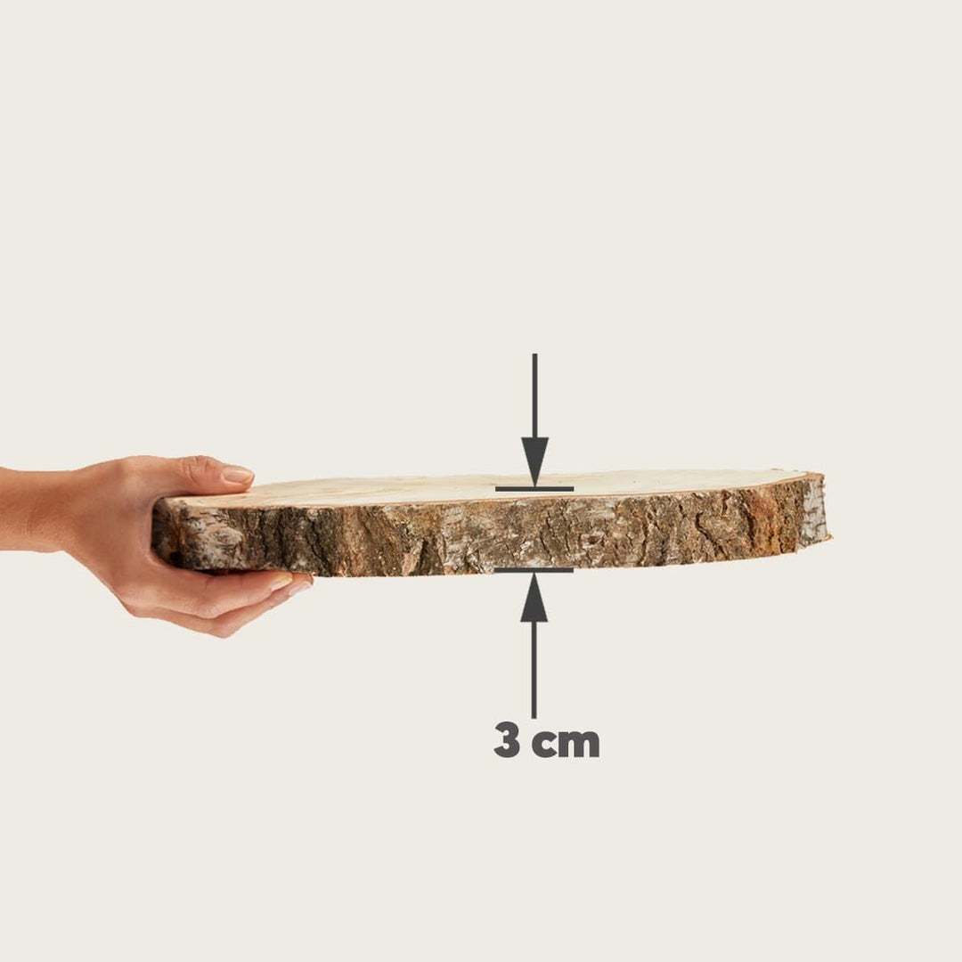 Grosse Holzscheiben zum Basteln oder Dekorieren - 10 Stück naturbelassene Baumscheiben ca. 25 cm (23