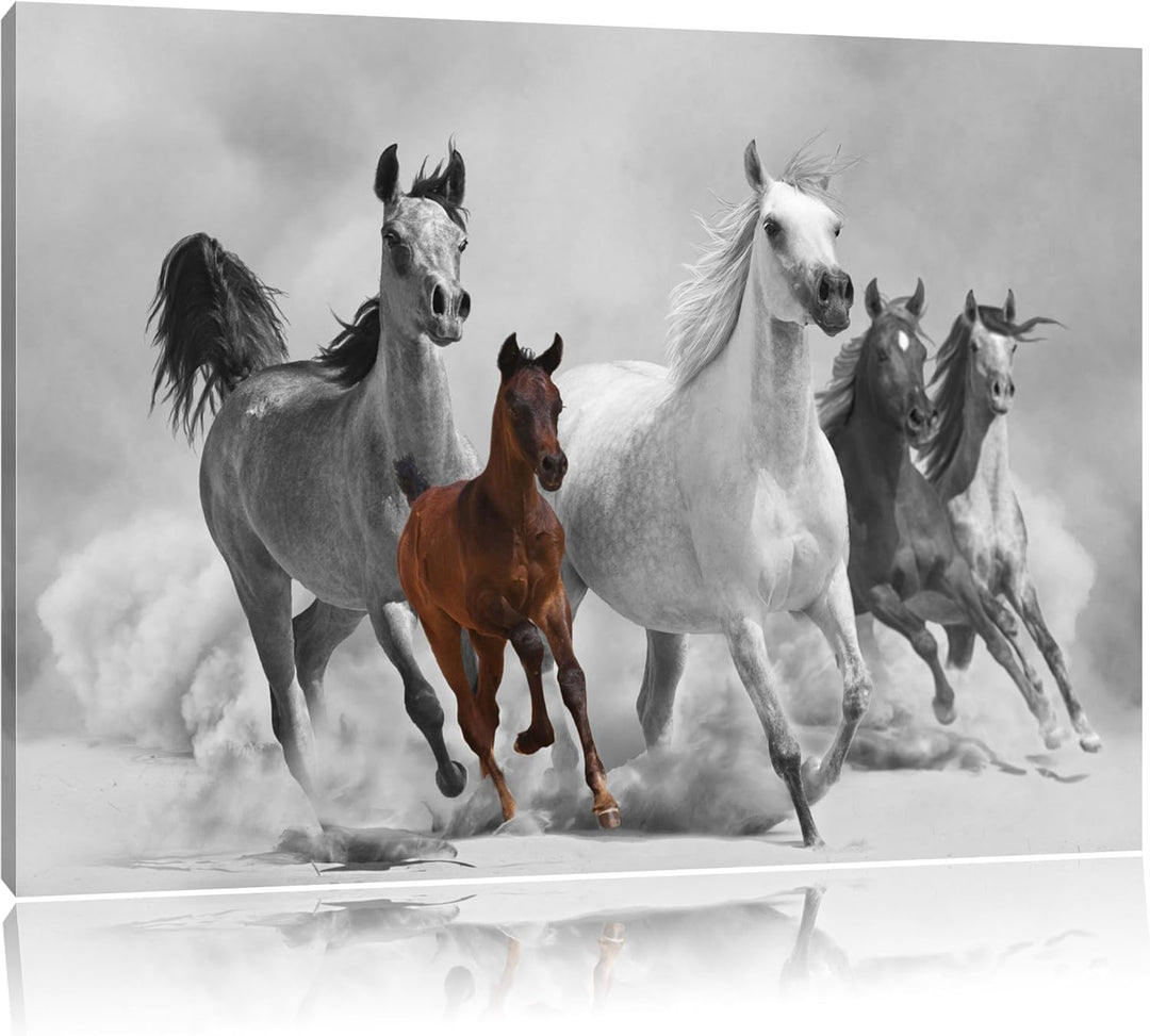 Mustangs in der Wüste mit Fohlen schwarz/weiss Format: 100x70 auf Leinwand, XXL riesige Bilder ferti