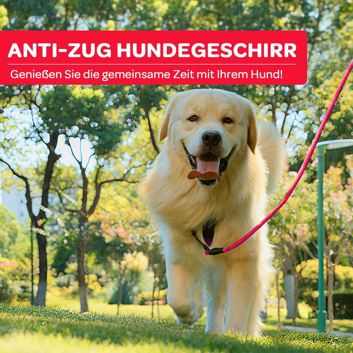 FURRYFECTION Anti Zug Hundegeschirr, Brustgeschirr kleine Hunde Sicherheitsgeschirr Welpen, Antizugg