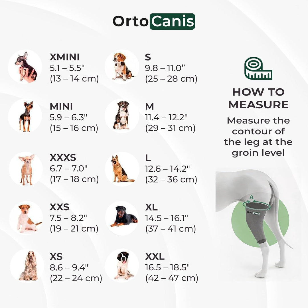 Ortocanis - Kniebandage für Hunde mit Kreuzbandverletzungen, Patellaluxation oder Arthrose, Grösse X