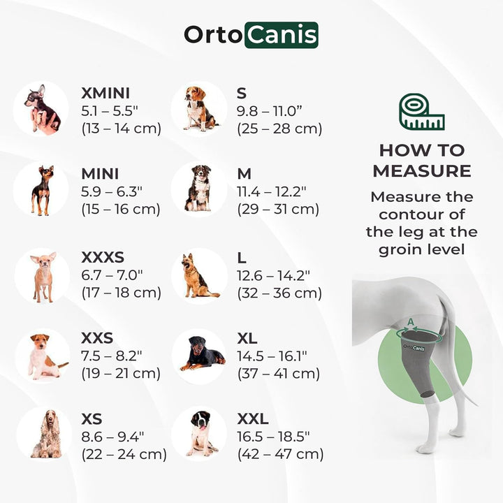 Ortocanis - Kniebandage für Hunde mit Kreuzbandverletzungen, Patellaluxation oder Arthrose, Grösse X