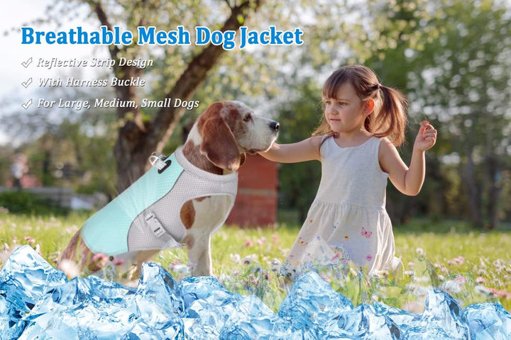 Hundekühlweste Atmungsaktives Mesh Hundejacke Sommer Cooler und Komfortabler Hundemantel Verstellbar