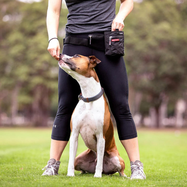 EzyDog Snak Pak Treat Bag - Leckerlitasche 650ml für Hundetraining mit Magnetverschluss - Farbe: rot