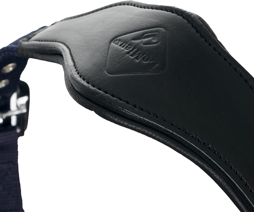 LeMieux Capella Headcollar Halfter, navy