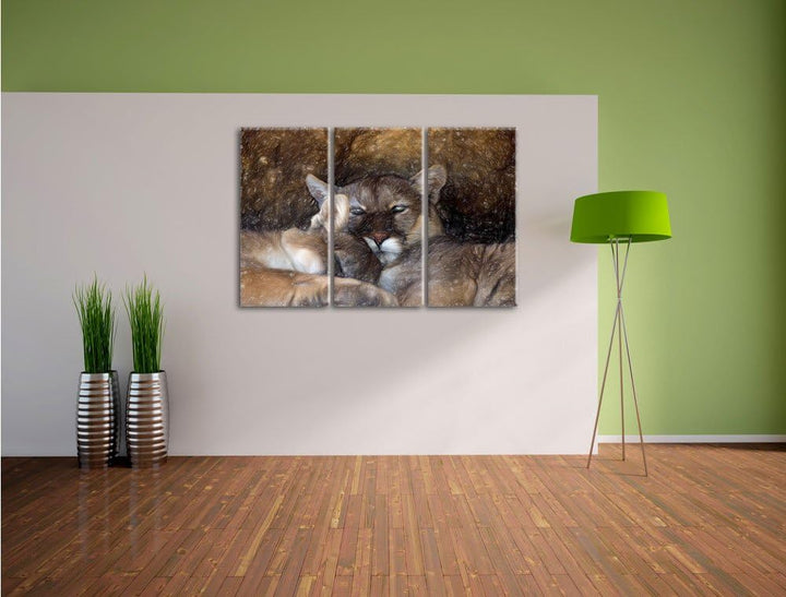 Pixxprint Puma Paar als Leinwandbild/Grösse: 3Teilig / Wandbild/Kunstdruck/fertig bespannt