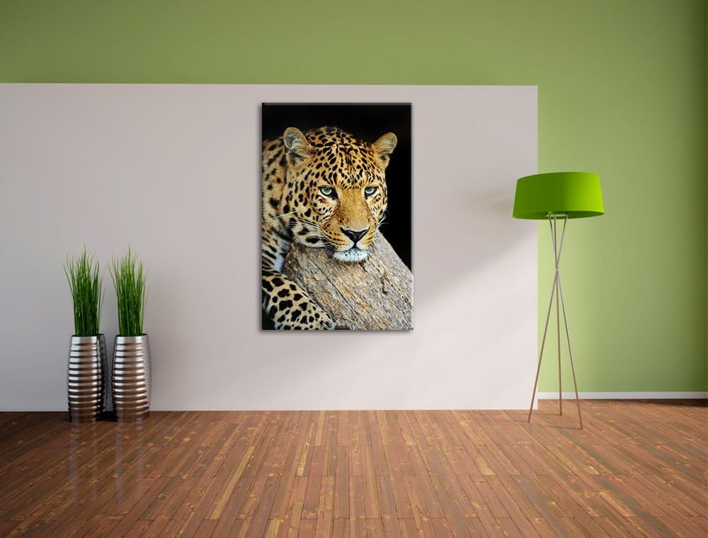 Pixxprint Ruhiger Leopard Format: 100x70 auf Leinwand, XXL riesige Bilder fertig gerahmt mit Keilrah