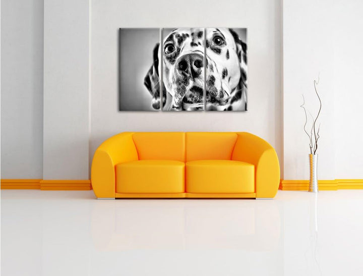 Pixxprint Monocrome, Süsser Dalmatiner 3-Teiler Leinwandbild 120x80 Bild auf Leinwand