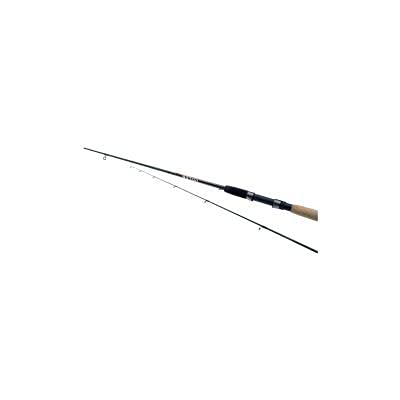 Jenzi Feederrute Artini Powerise 3,00m 30-75g, 3,00m 30-75g