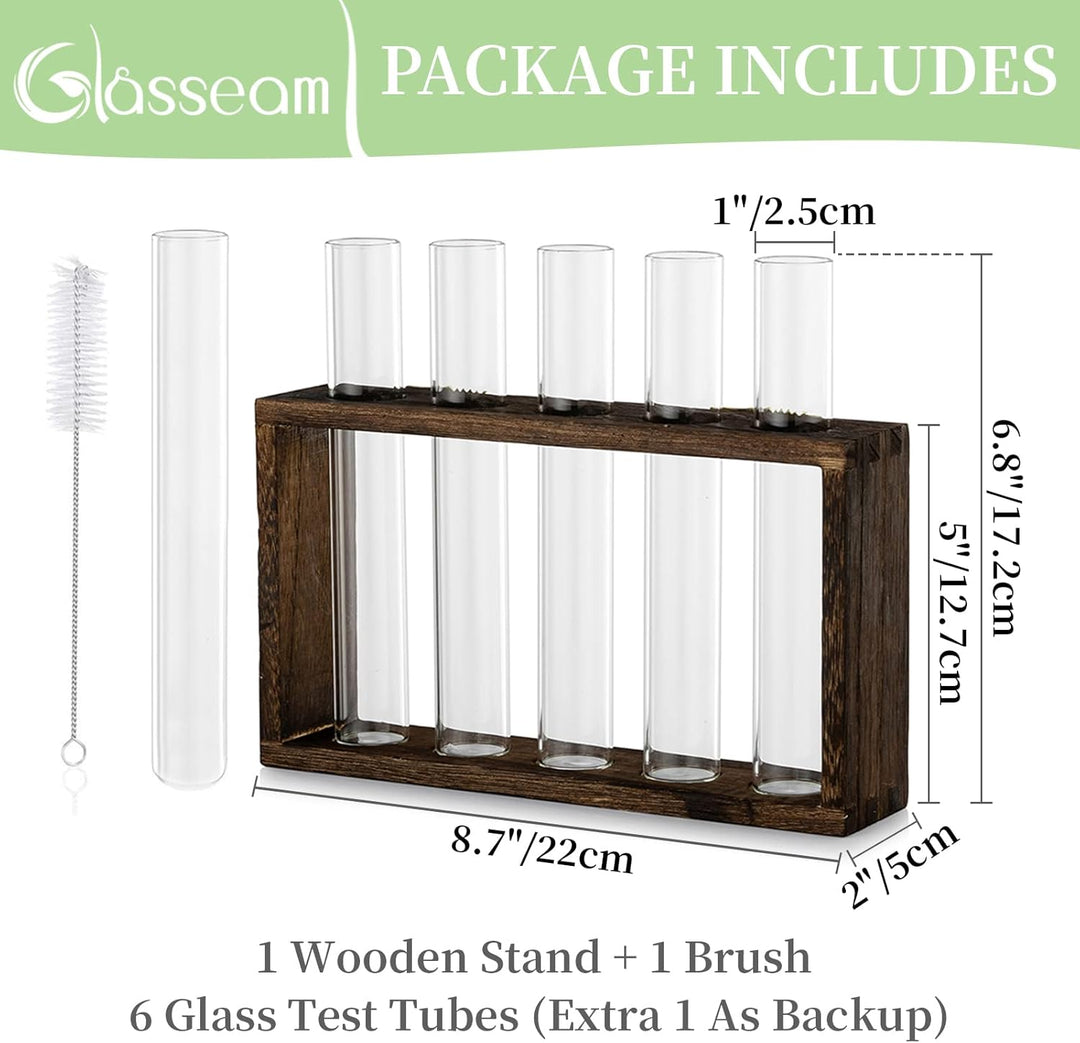 Glasseam Modern Blumenvase Kleine Vasen Deko Set Vintage Glas Reagenzgläser Für Blumen Mit Ständer H