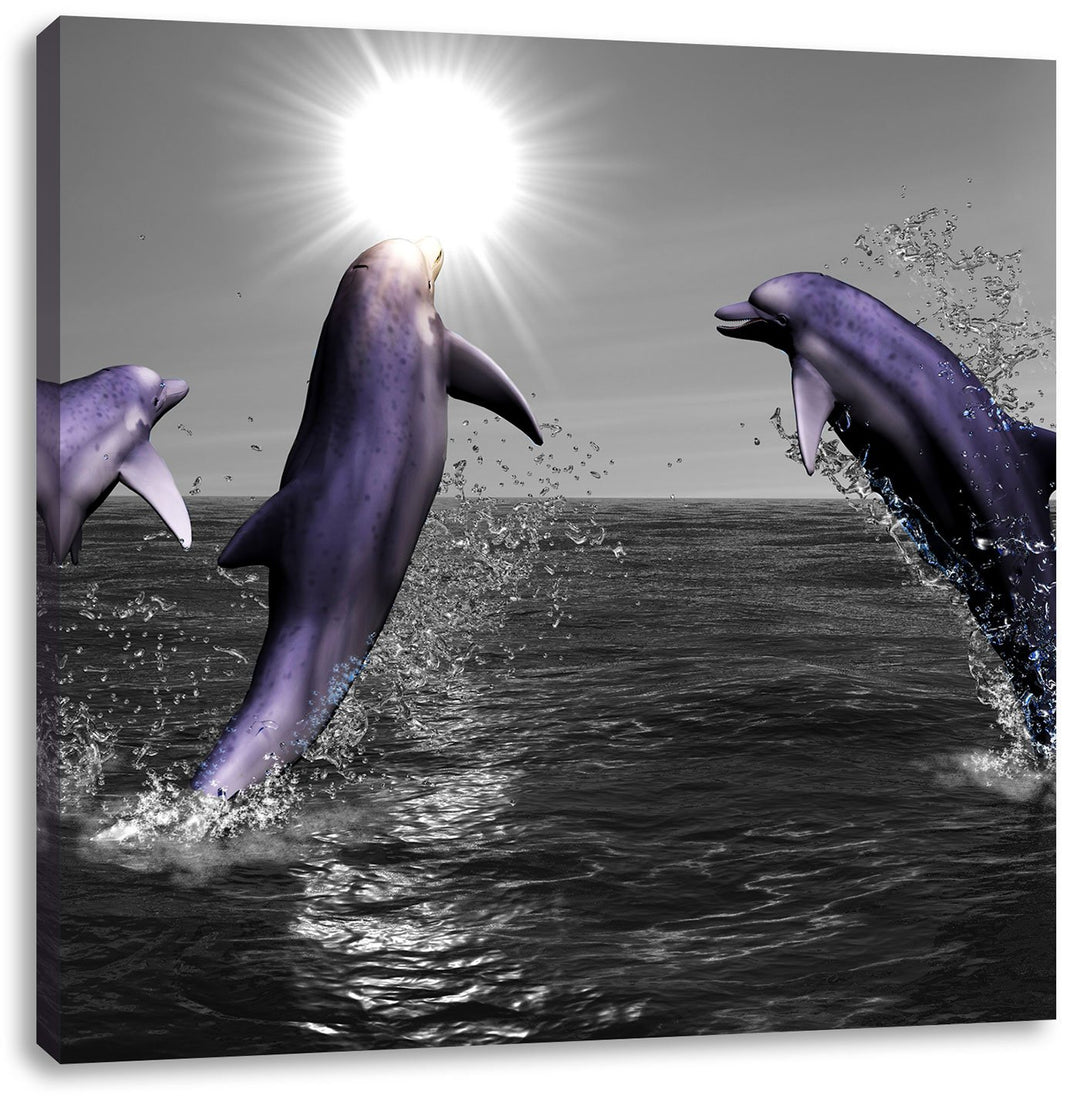 Fröhliche Delfine springen im Meer schwarz/weiss, Format: 70x70 auf Leinwand, 70x70