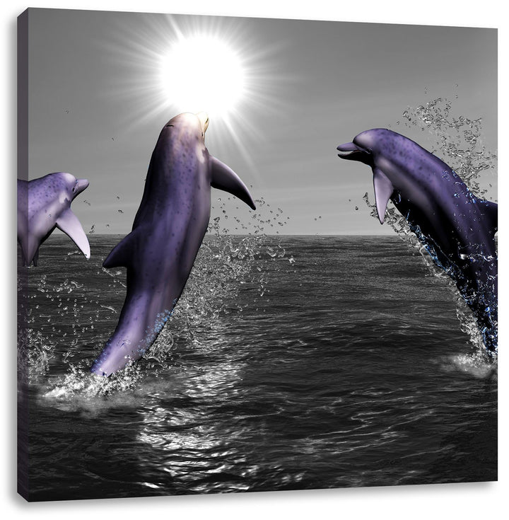 Fröhliche Delfine springen im Meer schwarz/weiss, Format: 70x70 auf Leinwand, 70x70