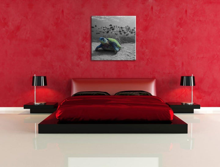 Pixxprint Schildkröte im Ozean schwarz/weiss, Format: 70x70 auf Leinwand, 70x70