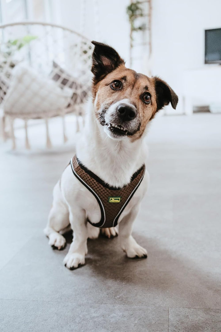 HUNTER HILO COMFORT Geschirr für kleine Hunde mit Netzmaterial und reflektierenden Elementen, braun,