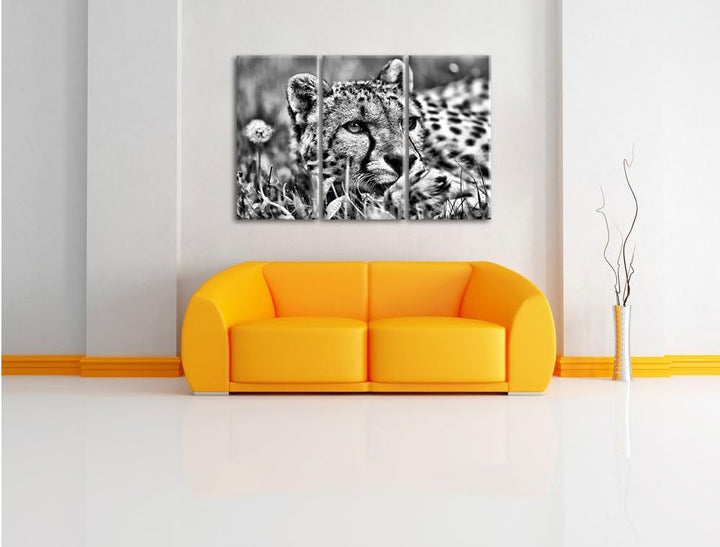 Pixxprint Monocrome, Gepard im Gras 3-Teiler Leinwandbild 120x80 Bild auf Leinwand