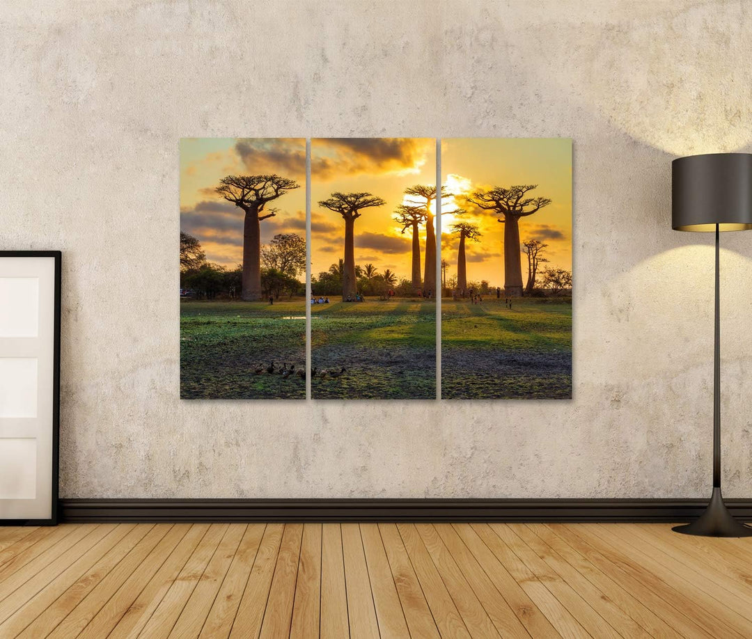 islandburner Bild auf Leinwand Schöne Baobab Bäumen Bei Sonnenuntergang In Der Allee Der Baobabs In