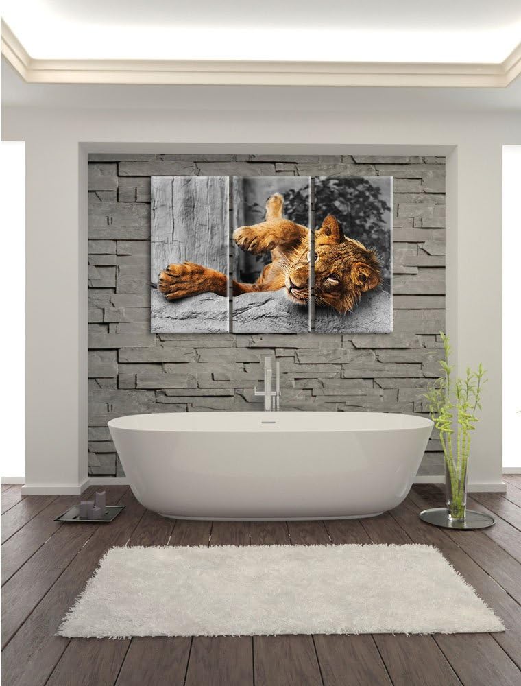 Pixxprint verspielter Kleiner Löwe als Leinwandbild | Grösse: 3 Teilig (120x80) | Wandbild| Kunstdru