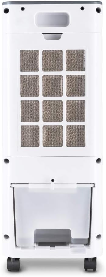 TROTEC PAE 21 Aircooler, mobiles 3 in 1 Klimagerät, Luftkühler, Lufterfrischer, Ventilator (3 Gebläs