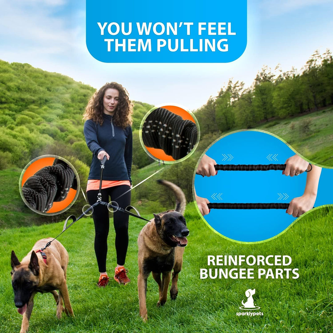 Hundeleine für 2 Hunde mit Bungee Verlängerung für Grosse und Mittelgrosse Hunde mit Ruckdämpfer | R