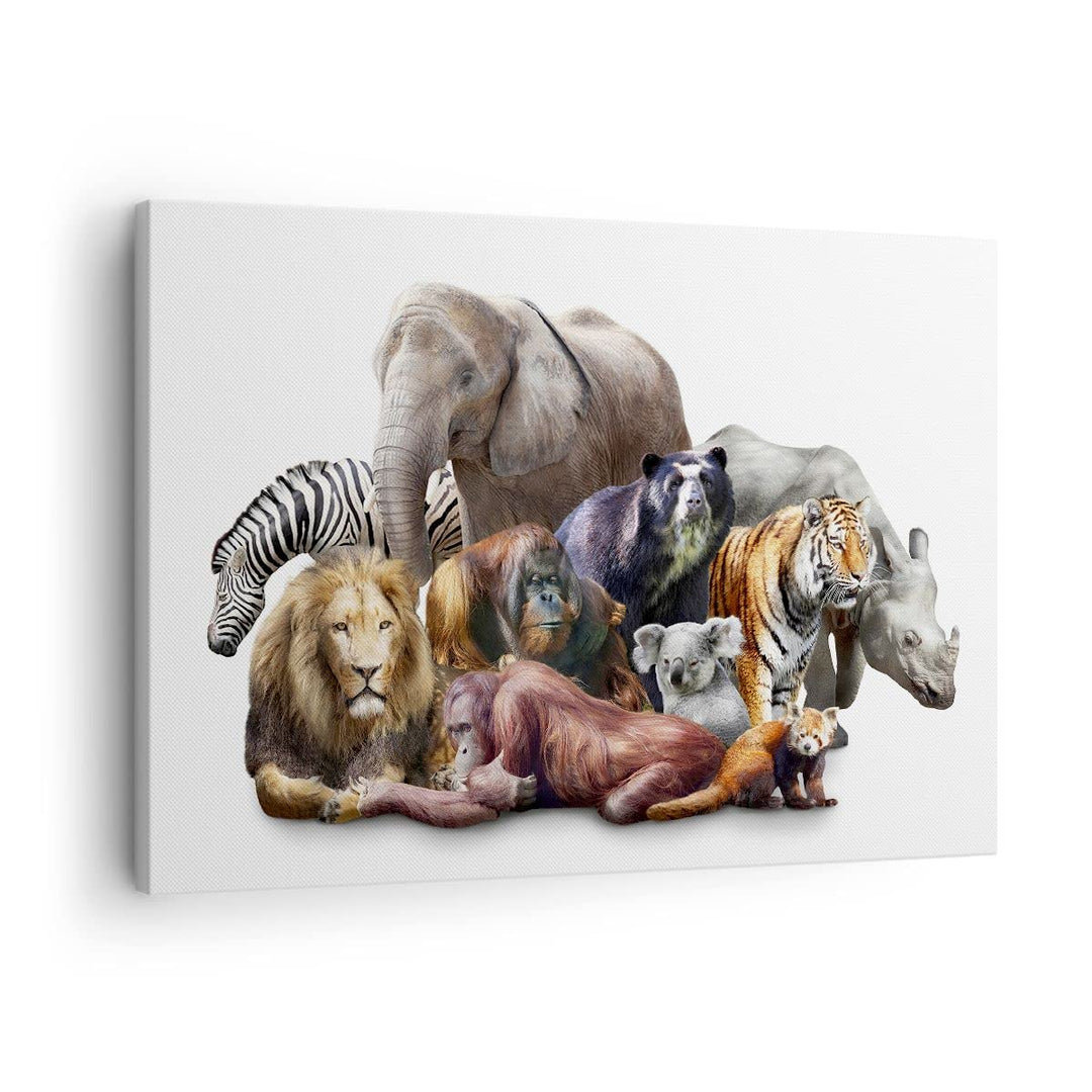 ARTTOR Bilder auf Leinwand Tiere Koala Löwe Affe Leinwandbild 70x50cm Wandbilder Dekoration Wohnzimm