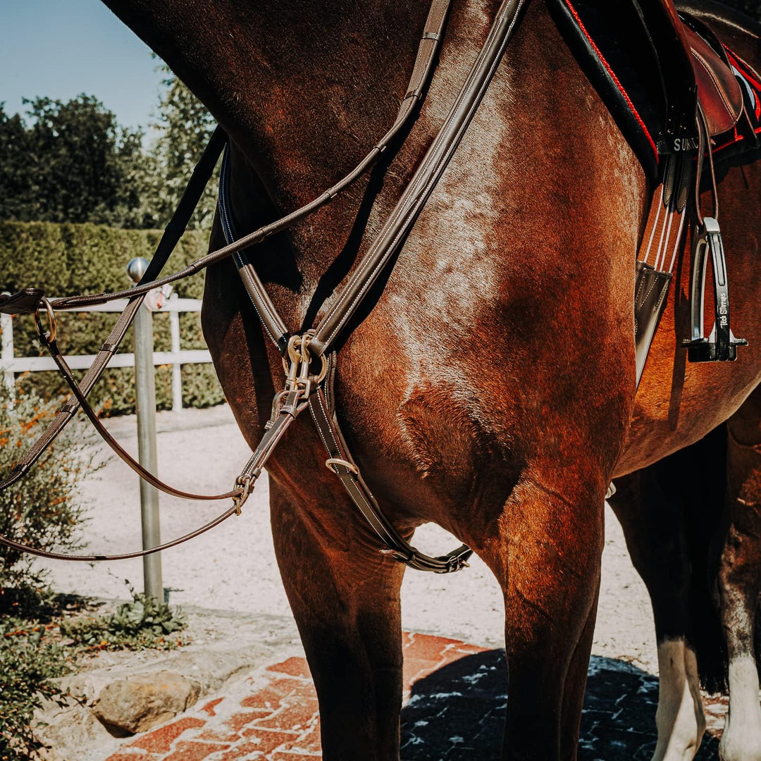 SUNRIDE teilbare Gummizügel mit Stegen für Pferde, aus weichem Echtleder und griffigem Gummi (Full 2