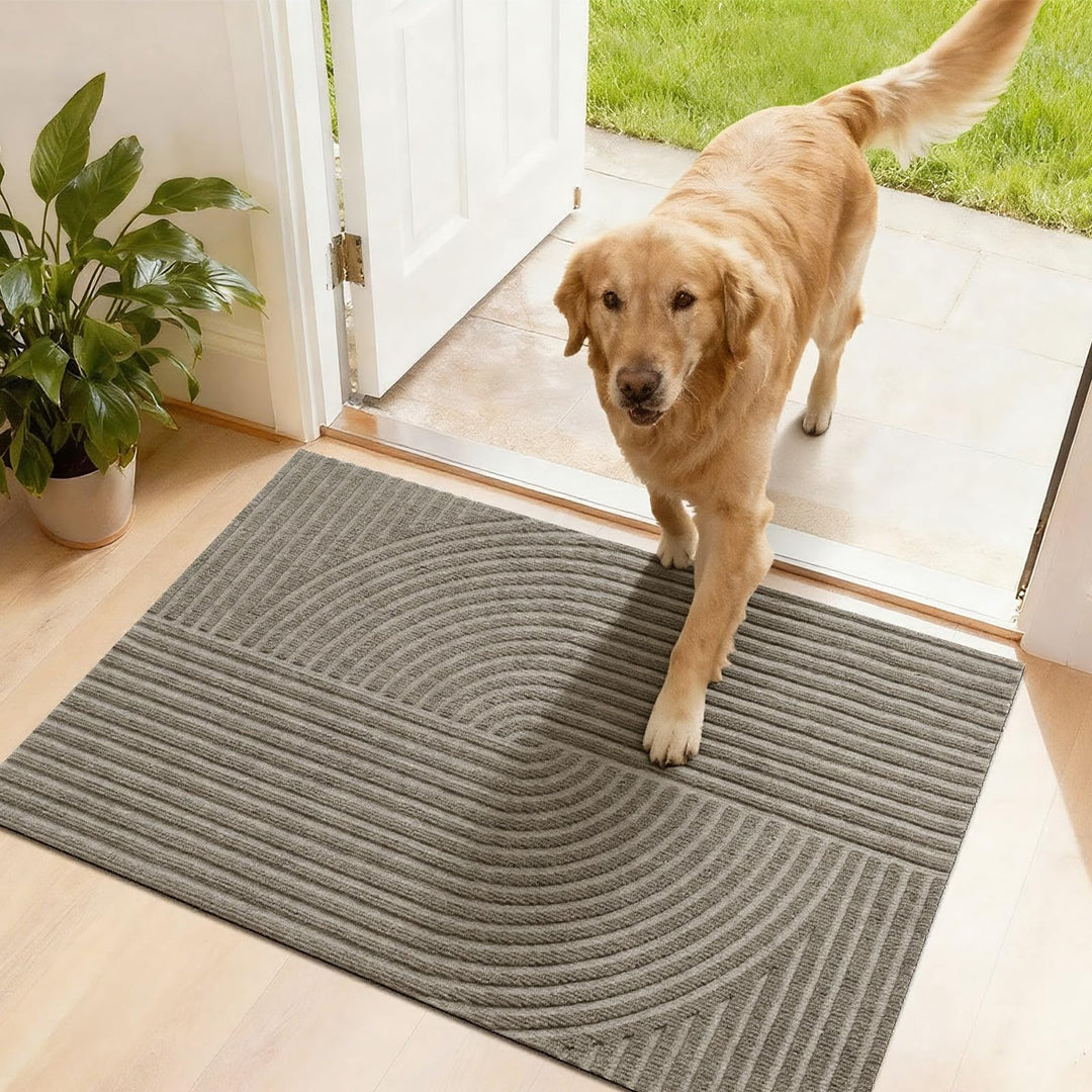 Schmutzfangmatte Innen Aussen 50x80cm, rutschfeste Fussmatte mit Saugkraft, Fussmatte Waschbar Langl