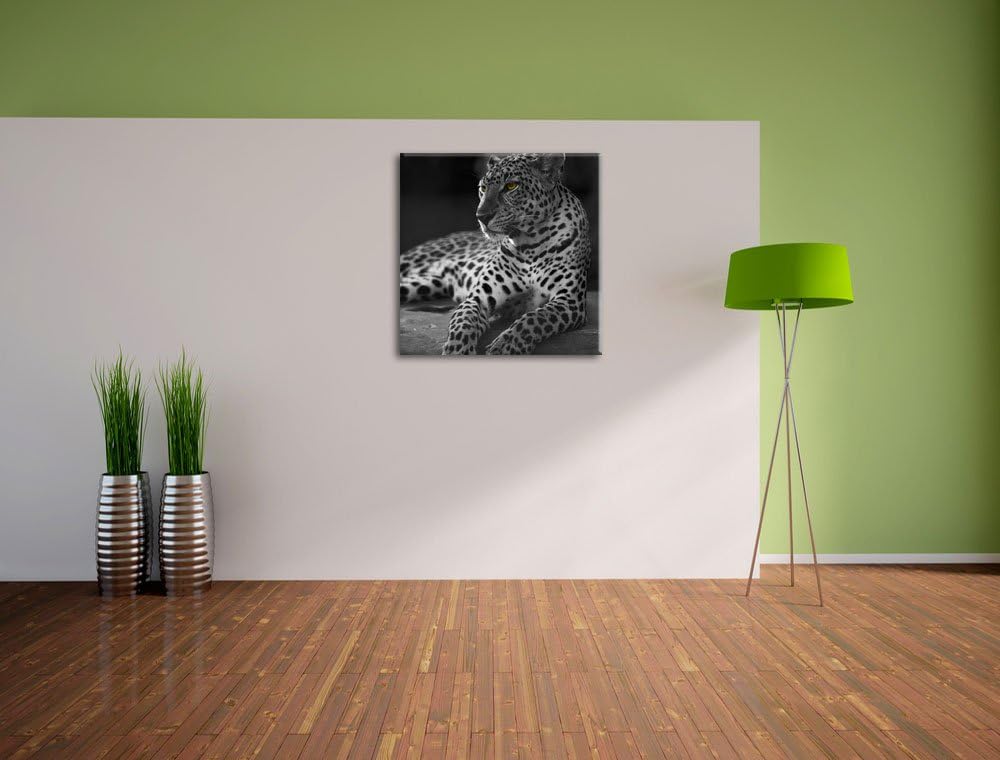 Pixxprint Leopard auf Felsen liegend als Leinwandbild Quadratisch/Grösse: 70x70 / Wandbild/Kunstdruc