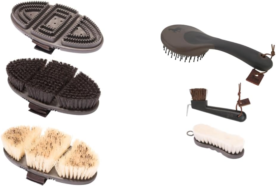 Animalon Basis-Set | Kardätsche, Striegel, Wurzelbürste, Schweif- & Mähnenbürste & Hufbürste | Basis