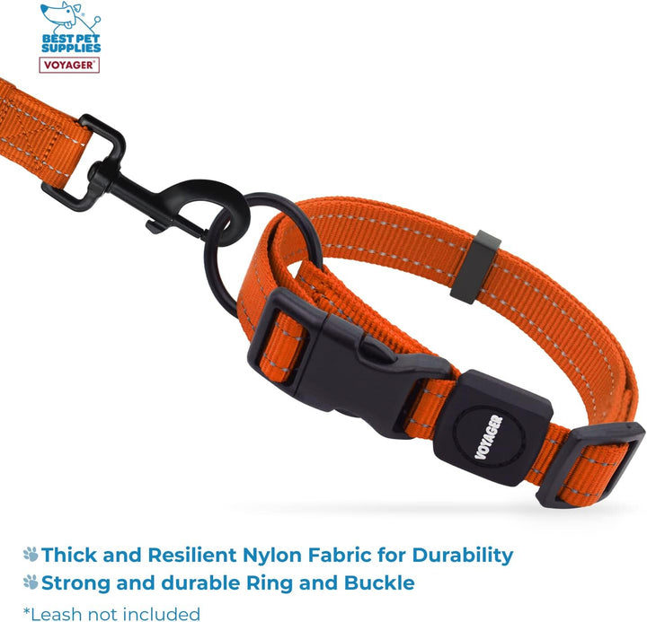 Best Pet Supplies Reflektierendes Hundehalsband mit Verstellbarer Länge, robuste Schnalle und starke