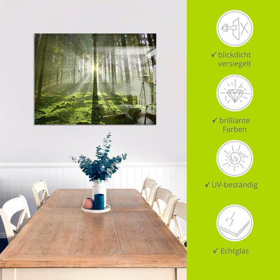 Glasbilder Wandbild Glas Bild einteilig 60x80 cm Hochformat Natur Wald Landschaft Sonne Bäume Moos F