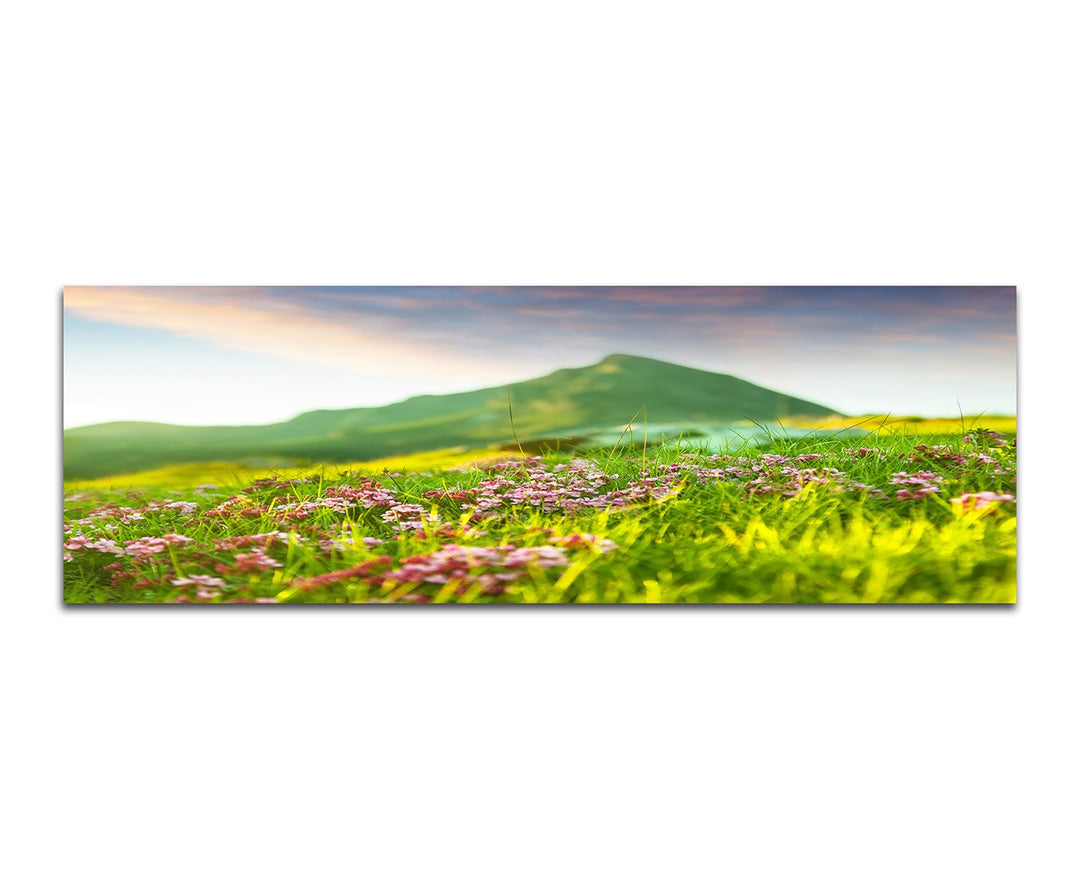 Paul Sinus Art Panoramabild auf Leinwand und Keilrahmen 150x50cm Wiese Blumen Berge Frühling Natur