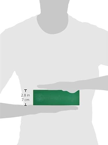 MIYABI Wetzstein/Schleifstein für Messer, langlebig, Körnung 1000, Grösse 21x7x2 cm