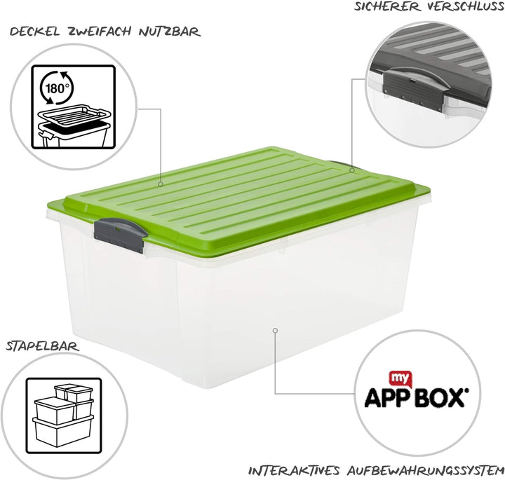 Rotho Compact 3er-Set Aufbewahrungsbox 38l mit Deckel, Kunststoff (PP) BPA-frei, transparent/grün, 3