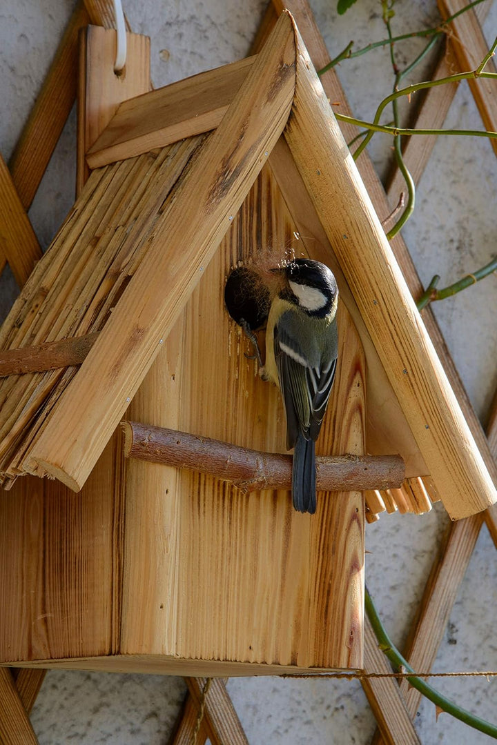 dobar® 13070e Nistkasten Hexenhaus Ø 32 mm - Nisthöhle für Wildvögel - Nistkasten Massivholz - Nisth