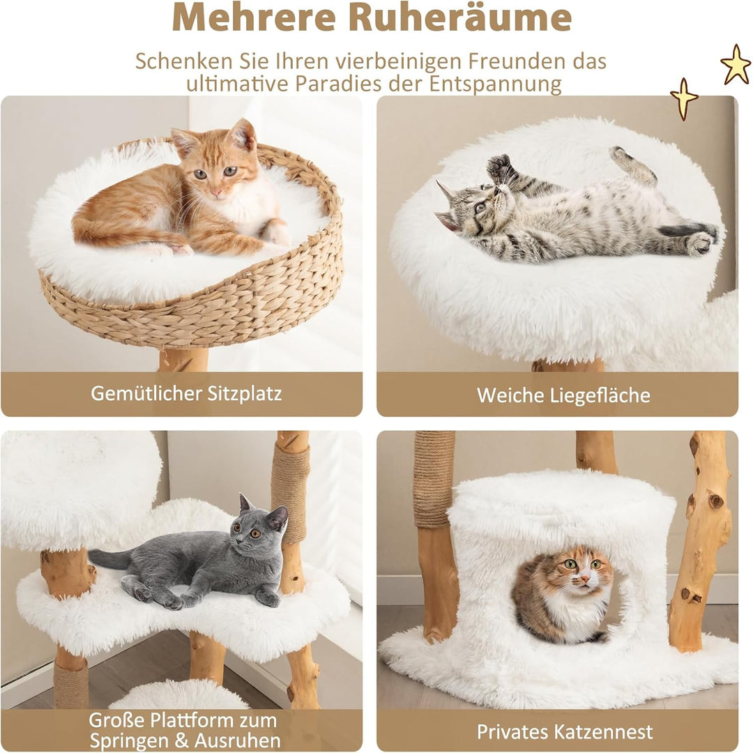 SOARS Kratzbaum Holz, Katzenbaum mit 3 natürlichen Birnbaumstämmen, Katzenhöhle & Plüschflächen, Kat