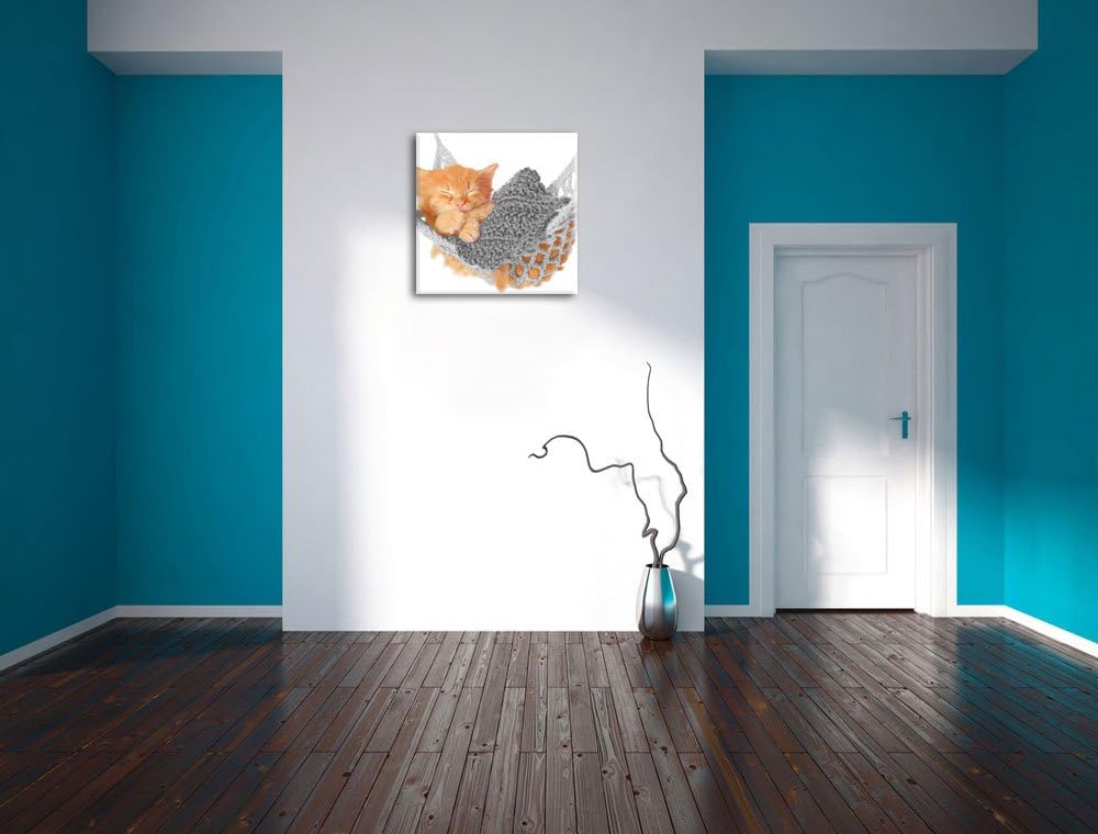 Pixxprint Katzenbaby in Hängematte als Leinwandbild Quadratisch/Grösse: 70x70 / Wandbild/Kunstdruck/