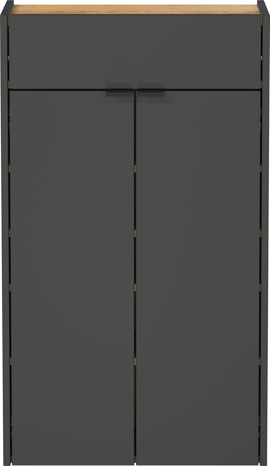 Germania Hängender Schuhschrank 1397-549 GW-Ameca, in Graphit/Eiche, geringe Tiefe, optimal für schm