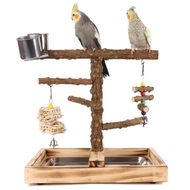 WishesMar Wellensittich Spielplatz Vogel-Spielplatz mit Feeder-Cup Spielzeug Leiter Erklimmen und Ta