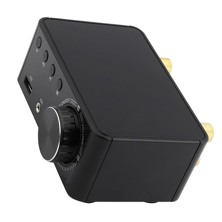 Bluetooth 5.0 Stereo Audio 2-Kanal-Verstärker Empfänger Mini-HiFi-Klasse Integrierter Verstärker für
